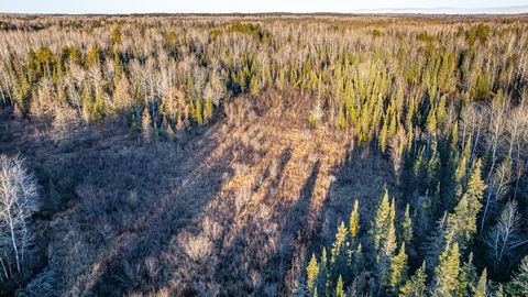 Tiny photo for 8359 Hwy 135, Embarrass, MN 55732 (MLS # 6123035)