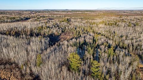 Tiny photo for 8359 Hwy 135, Embarrass, MN 55732 (MLS # 6123035)