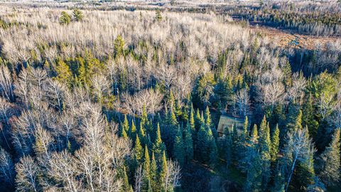 Tiny photo for 8359 Hwy 135, Embarrass, MN 55732 (MLS # 6123035)