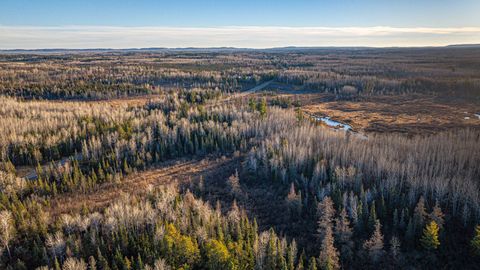 Tiny photo for 8359 Hwy 135, Embarrass, MN 55732 (MLS # 6123035)