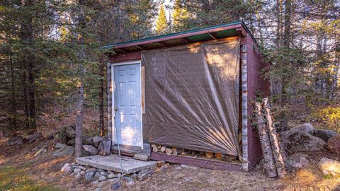 Tiny photo for 8359 Hwy 135, Embarrass, MN 55732 (MLS # 6123035)