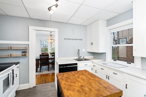 Tiny photo for 202 N 40th Ave E Ave, Duluth, MN 55804 (MLS # 6125022)