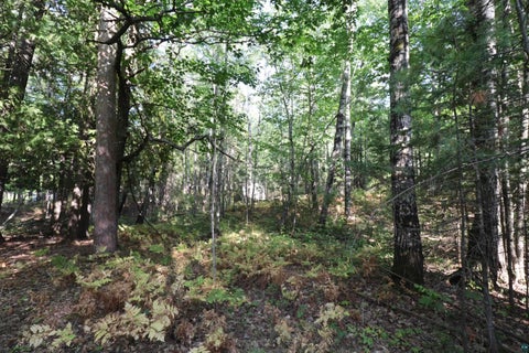 Tiny photo for 744 Miller Farm Rd, La Pointe, WI 54850 (MLS # 6128430)