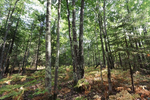 Tiny photo for 744 Miller Farm Rd, La Pointe, WI 54850 (MLS # 6128430)