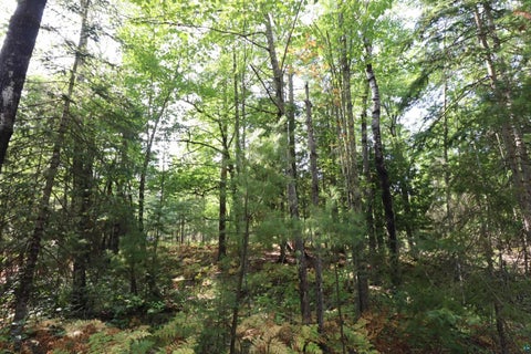 Tiny photo for 744 Miller Farm Rd, La Pointe, WI 54850 (MLS # 6128430)