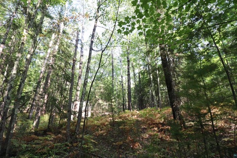 Tiny photo for 744 Miller Farm Rd, La Pointe, WI 54850 (MLS # 6128430)