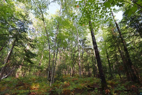 Tiny photo for 744 Miller Farm Rd, La Pointe, WI 54850 (MLS # 6128430)