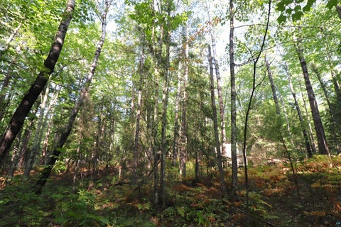 Tiny photo for 744 Miller Farm Rd, La Pointe, WI 54850 (MLS # 6128430)