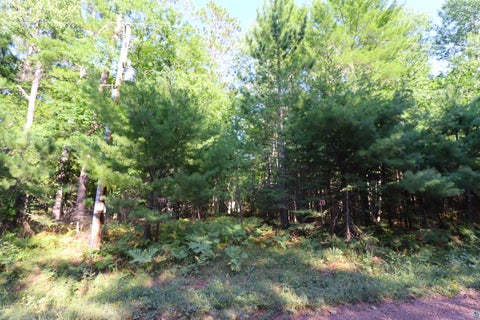 Photo of 744 Miller Farm Rd, La Pointe, WI 54850 (MLS # 6128430)