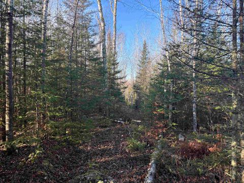 Tiny photo for 9 Powerhouse Trail, Ely, MN 55731 (MLS # 6123039)