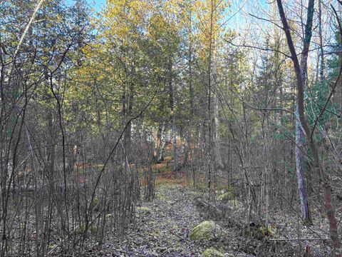 Tiny photo for 9 Powerhouse Trail, Ely, MN 55731 (MLS # 6123039)