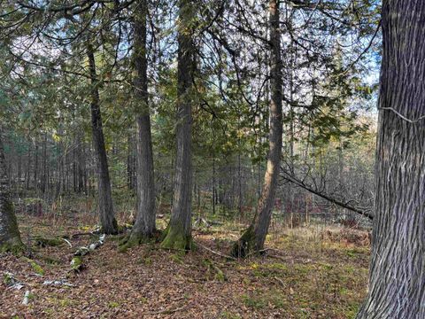 Tiny photo for 9 Powerhouse Trail, Ely, MN 55731 (MLS # 6123039)