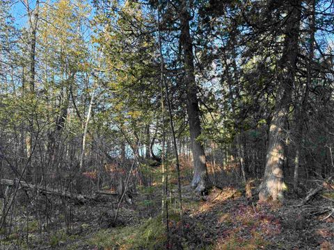 Tiny photo for 9 Powerhouse Trail, Ely, MN 55731 (MLS # 6123039)
