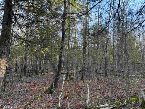 Tiny photo for 9 Powerhouse Trail, Ely, MN 55731 (MLS # 6123039)