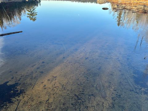 Tiny photo for 9 Powerhouse Trail, Ely, MN 55731 (MLS # 6123039)