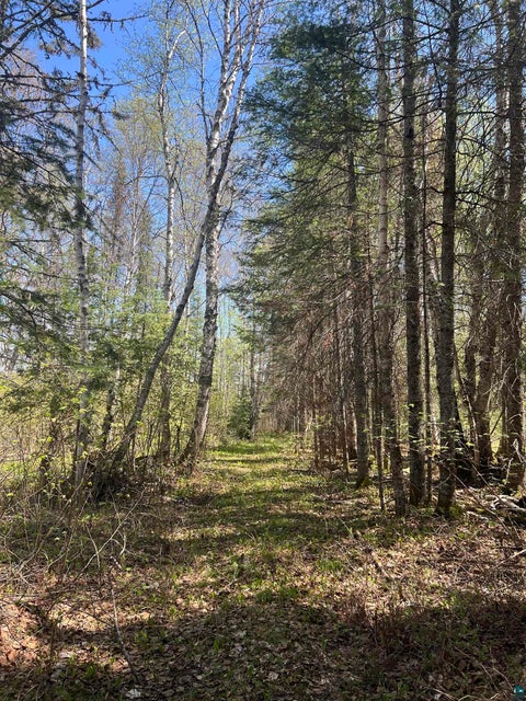 Tiny photo for XXX Moose Ridge Rd, Isabella, MN 55607 (MLS # 6125854)