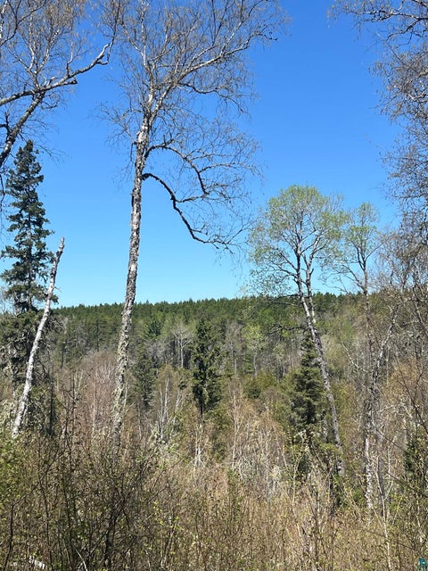 Tiny photo for XXX Moose Ridge Rd, Isabella, MN 55607 (MLS # 6125854)