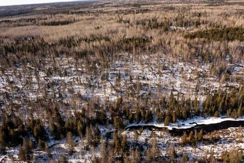 Tiny photo for XXX Moose Ridge Rd, Isabella, MN 55607 (MLS # 6125854)