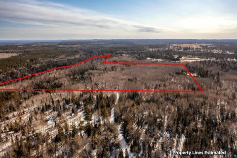 Tiny photo for XXX Moose Ridge Rd, Isabella, MN 55607 (MLS # 6125854)