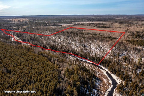 Tiny photo for XXX Moose Ridge Rd, Isabella, MN 55607 (MLS # 6125854)