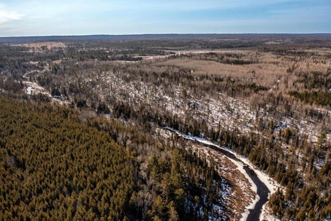 Tiny photo for XXX Moose Ridge Rd, Isabella, MN 55607 (MLS # 6125854)