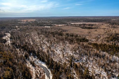 Tiny photo for XXX Moose Ridge Rd, Isabella, MN 55607 (MLS # 6125854)