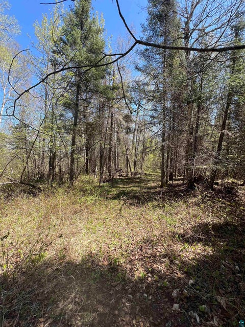Tiny photo for XXX Moose Ridge Rd, Isabella, MN 55607 (MLS # 6125854)