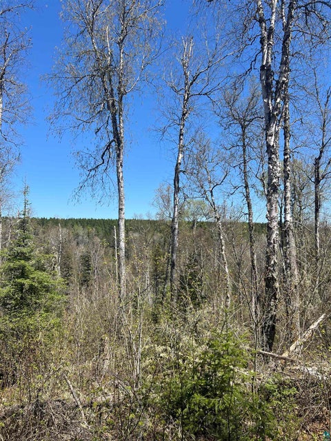 Tiny photo for XXX Moose Ridge Rd, Isabella, MN 55607 (MLS # 6125854)