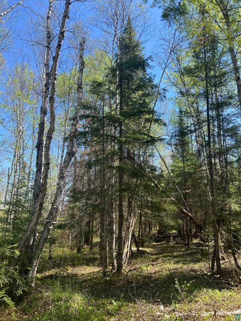 Tiny photo for XXX Moose Ridge Rd, Isabella, MN 55607 (MLS # 6125854)