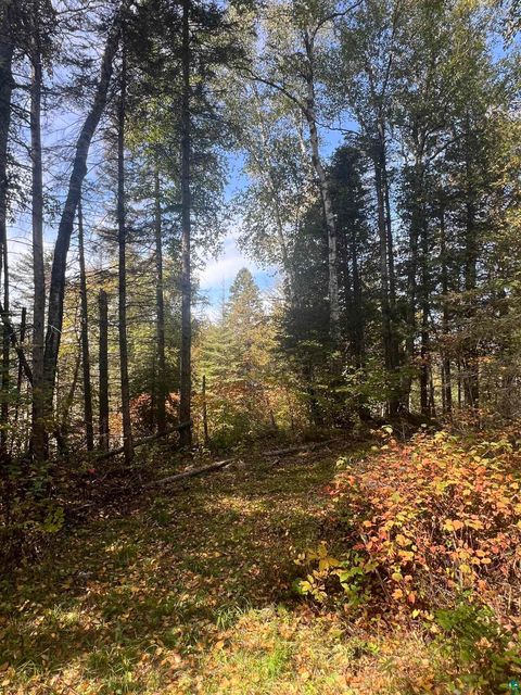 Tiny photo for XXXX Camp 26 Rd, Finland, MN 55603 (MLS # 6125225)
