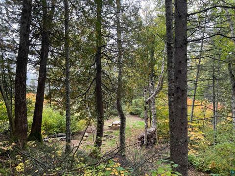 Tiny photo for XXXX Camp 26 Rd, Finland, MN 55603 (MLS # 6125225)