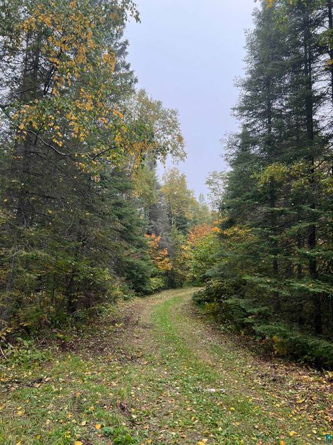 Tiny photo for XXXX Camp 26 Rd, Finland, MN 55603 (MLS # 6125225)
