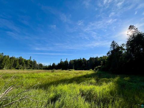 Tiny photo for XXXX Camp 26 Rd, Finland, MN 55603 (MLS # 6125225)