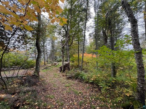 Tiny photo for XXXX Camp 26 Rd, Finland, MN 55603 (MLS # 6125225)