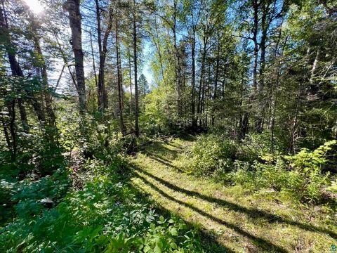 Tiny photo for XXXX Camp 26 Rd, Finland, MN 55603 (MLS # 6125225)