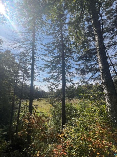 Tiny photo for XXXX Camp 26 Rd, Finland, MN 55603 (MLS # 6125225)