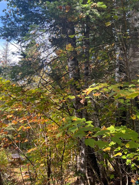 Tiny photo for XXXX Camp 26 Rd, Finland, MN 55603 (MLS # 6125225)