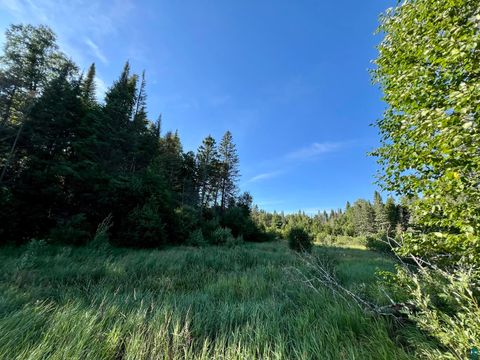 Tiny photo for XXXX Camp 26 Rd, Finland, MN 55603 (MLS # 6125225)
