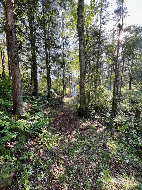 Tiny photo for XXXX Camp 26 Rd, Finland, MN 55603 (MLS # 6125225)