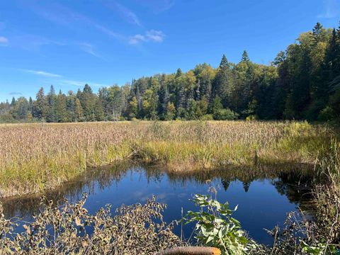 Tiny photo for XXXX Camp 26 Rd, Finland, MN 55603 (MLS # 6125225)