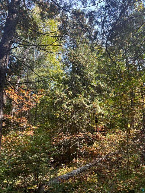 Tiny photo for XXXX Camp 26 Rd, Finland, MN 55603 (MLS # 6125225)
