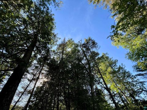Tiny photo for XXXX Camp 26 Rd, Finland, MN 55603 (MLS # 6125225)