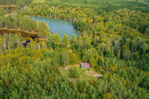 Tiny photo for 8644 Pulkinen Rd, Embarrass, MN 55732 (MLS # 6124395)