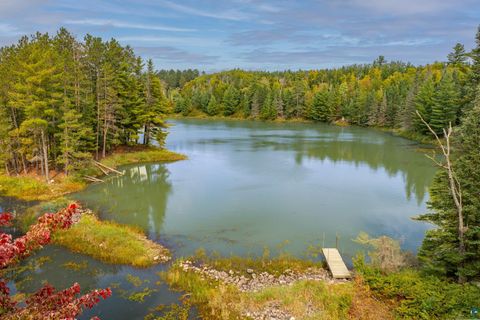 Tiny photo for 8644 Pulkinen Rd, Embarrass, MN 55732 (MLS # 6124395)