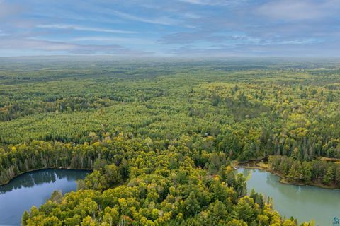 Tiny photo for 8644 Pulkinen Rd, Embarrass, MN 55732 (MLS # 6124395)