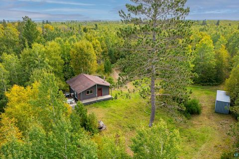 Photo of 8644 Pulkinen Rd, Embarrass, MN 55732 (MLS # 6124395)