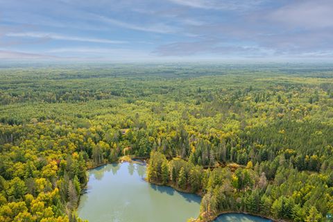 Tiny photo for 8644 Pulkinen Rd, Embarrass, MN 55732 (MLS # 6124395)