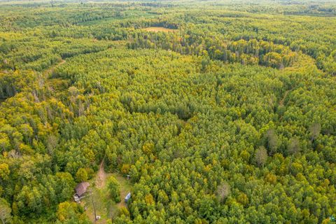 Tiny photo for 8644 Pulkinen Rd, Embarrass, MN 55732 (MLS # 6124395)