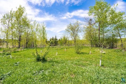 Tiny photo for 32 E St. Louis River Rd, Esko, MN 55733 (MLS # 6125601)
