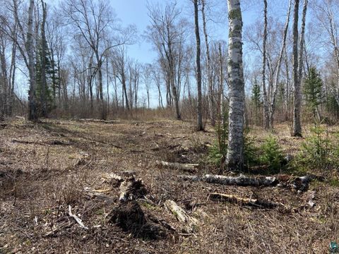 Tiny photo for 21029 N Bear Lake Rd, Brimson, MN 55602 (MLS # 6125402)